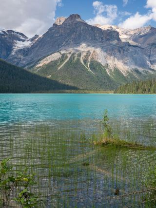 5-day Canada travel guide to copy directly
