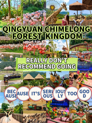 Just got back from Chimelong Qingyuan! A reverse warning—summer is the perfect time to visit
