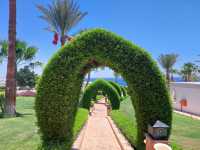 Mixed Feelings on Club Reef Resort: Great Atmosphere Marred by Health Concerns