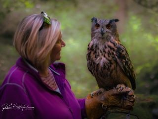 Unforgettable Bird of Prey Photography Experience