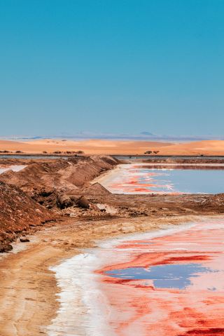  Namibia: An otherworldly escape at the edge of the Earth