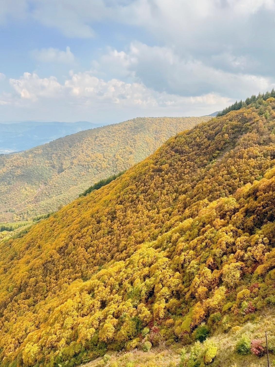 Jingyuan 2-Day 1-Night Trip | Crossing the Liupan Mountains to find the autumn colors at the source of the Jing River