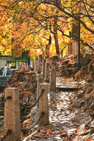 Who says Shijiazhuang isn't worth visiting! A 2-day slow travel guide to Zhengding Ancient City