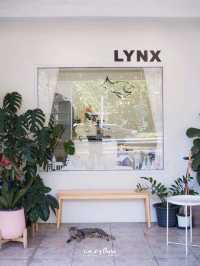 LYNX COFFEE สาขาโพธิ์นิมิตร โฮมคาเฟ่สไตล์โคซี่ๆ