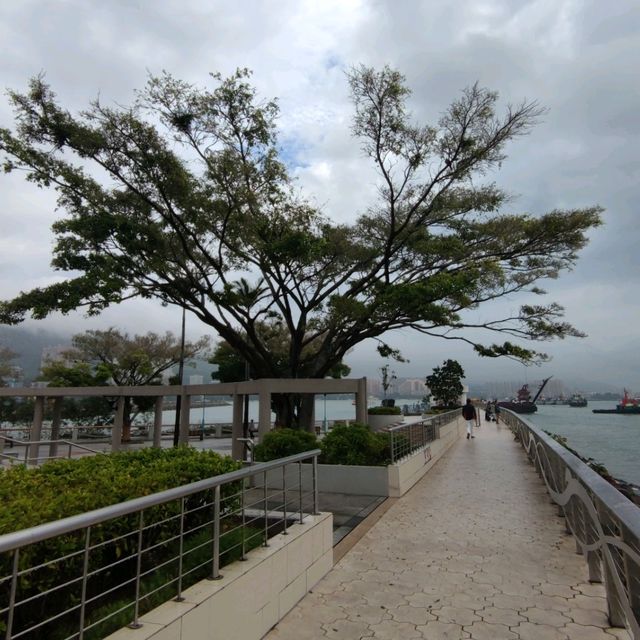 細雨濛濛🌧慢步行，屯門碼頭，海濱花園