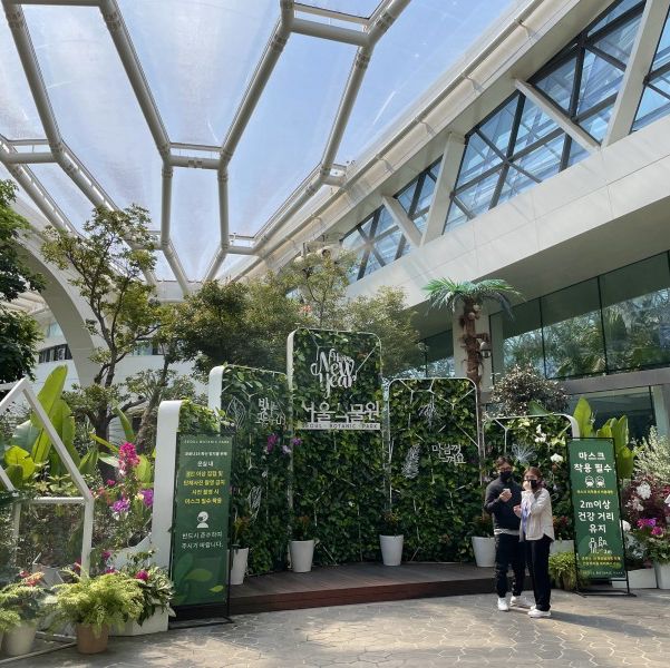 이국적인 실내 식물원, 마곡 서울식물원 온실🌱