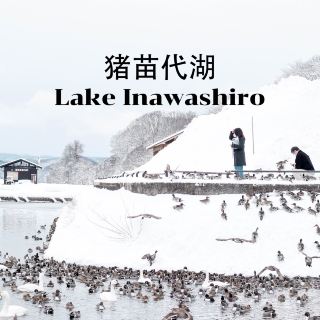 Winter Lake Tour in Fukushima 🦢♨️