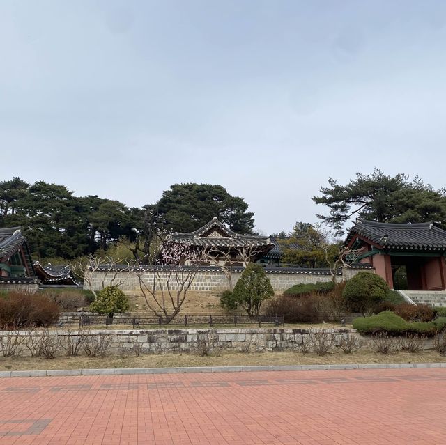 강릉까지 왔다면~ “오죽헌” 까만 대나무 보고가셔용 🎋🖤