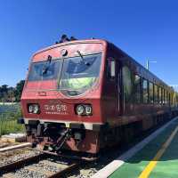 기차 한면이 모두 통유리! 기차타고 떠나는 바다 여행 코스🚃