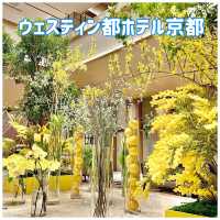 【京都】リニューアルの歴史あるホテル