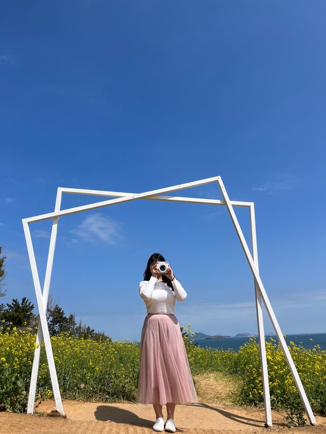 유채꽃이 만개한 수성당에서 힐링 가득 하루 보내기🌼