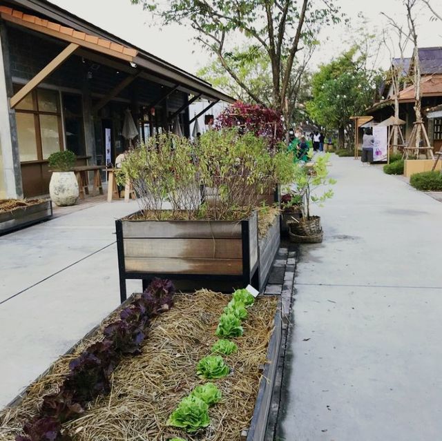 Jing Jai Market ChiangMai