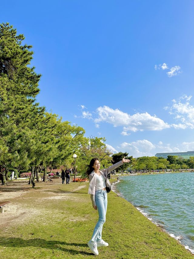 후쿠오카 여행지 : 오호리 공원