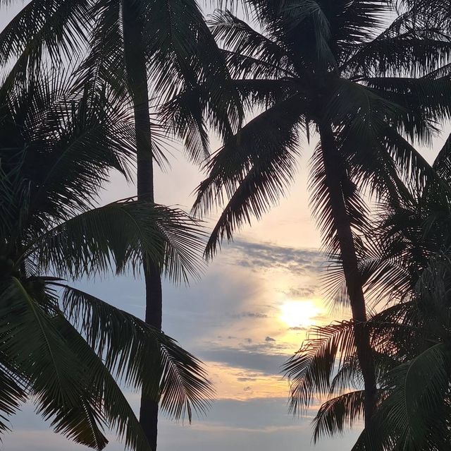 บางแสน ดินแดนที่ไม่เคยน่าเบื่อ🌊