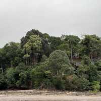 Combo of hillview and seaview in one resort