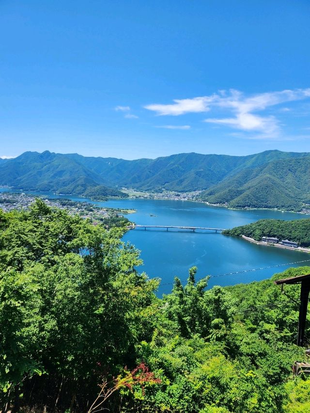 ✨️富士山河口湖親子遊✨️