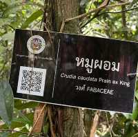 ป่าพรุผืนสุดท้าย.. ป่าพรุโต๊ะแดง​ นราธิวาส​