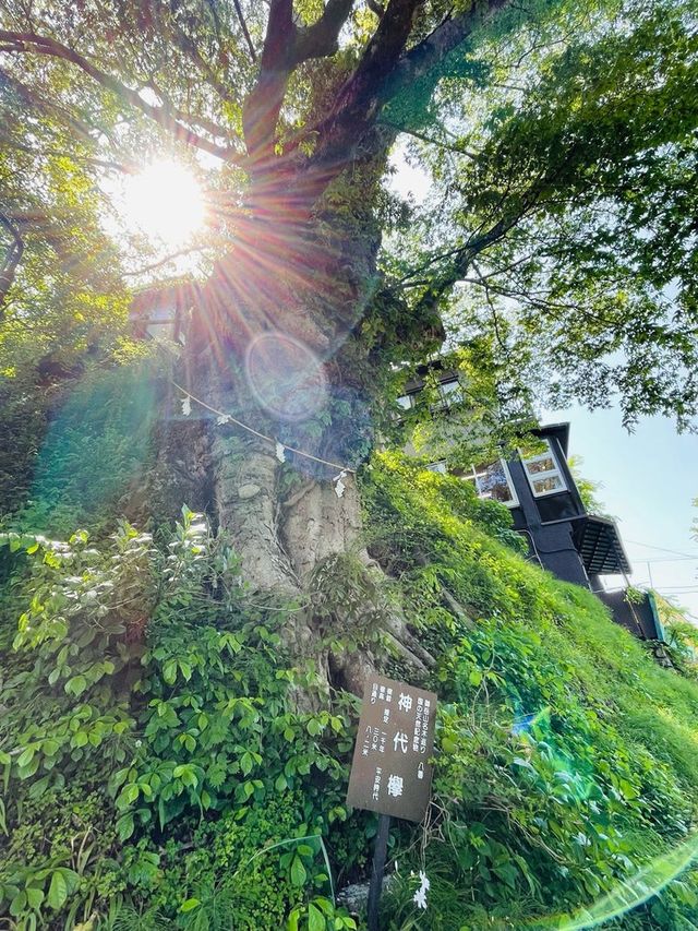 【東京都/武蔵御嶽神社】山岳信仰と狼による守り神の地