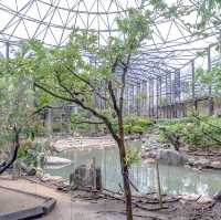 【大阪】天王寺動物園の中の様子