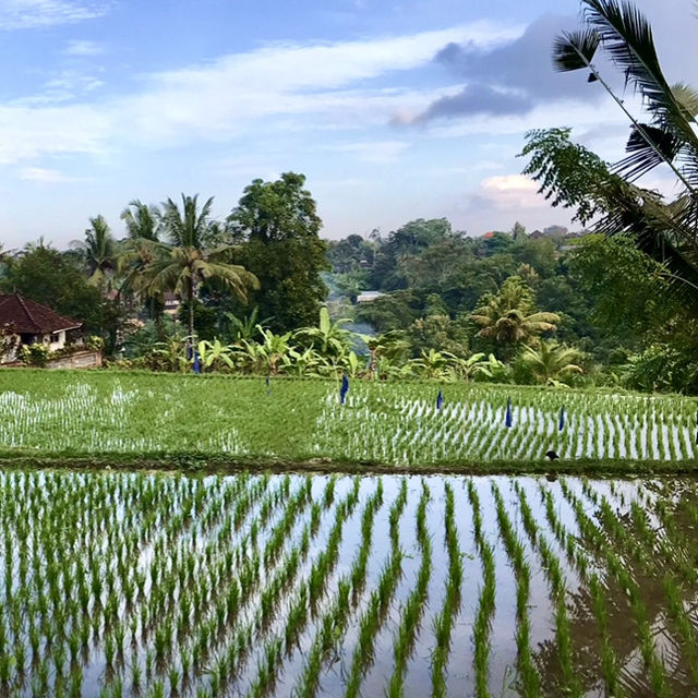 Hidden Place of Paradise in Ubud