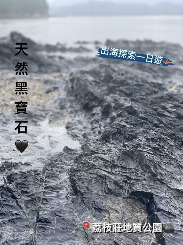 《香港》天然黑寶石🖤｜出海🚣🏽‍♀️去荔枝莊一日遊