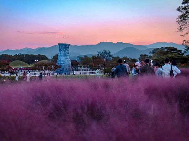 반짝반짝 빛나는, 경주 야경 포인트