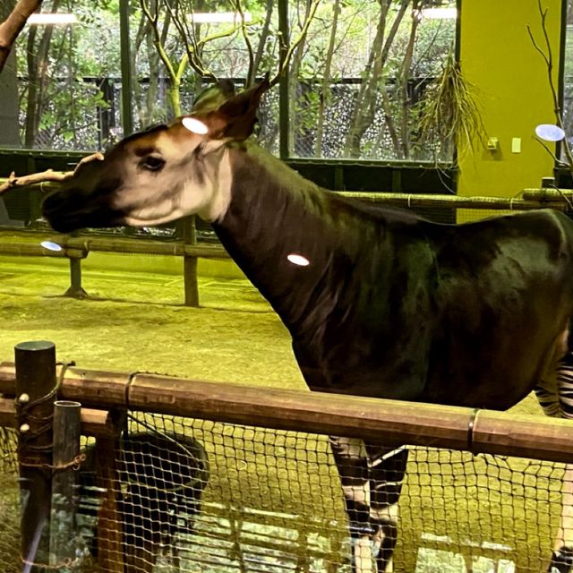 📍よこはま動物園ズーラシア/神奈川県