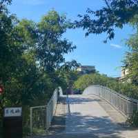 老街溪翠堤橋 🌱