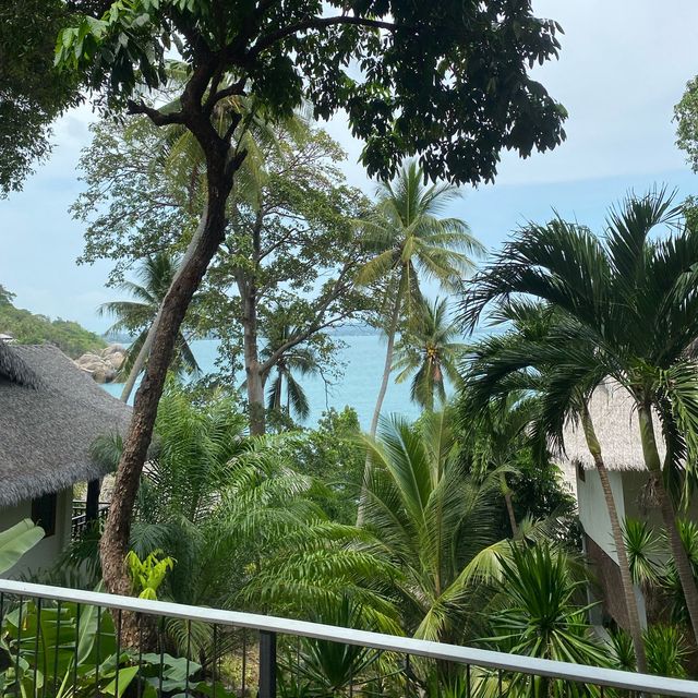 พลาดไม่ได้ใครไปสมุยต้องพักที่นี่ coral cliff beach