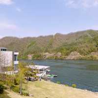 🌳 강가에 비춘 자연 풍경을 보며 힐링할 수 있는 골든트리 카페 