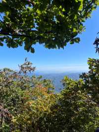 가을 등산 하기 딱 좋은 계절에 강원도 치악산으로 떠나요⛰️