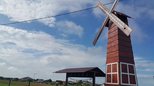  A DAY OUTING IN SEKINCHAN PADI FIELD