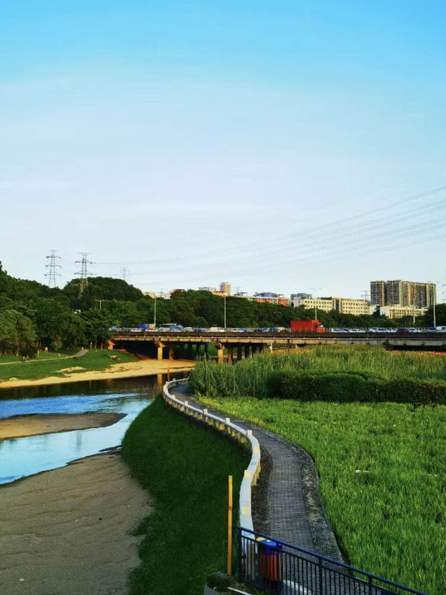 🌿🌺🌅 觀瀾河濕地公園～花海日落驚艷🌿🌺🌅