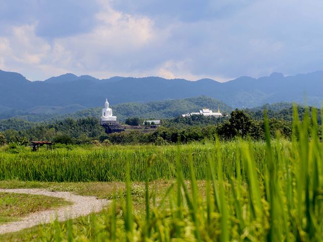 ✨ วัดพระธาตุปูแจ สักการะ ไหว้พระขอพร🙏🏻😇