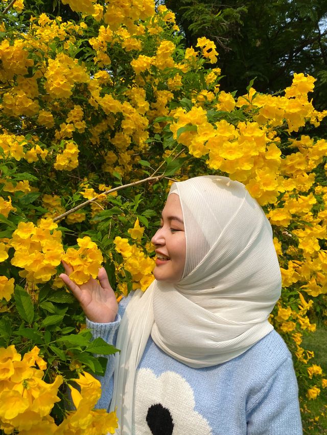 สวนรถไฟ เดินรับลม ใจกลางเมือง แค่นี้ก็ฟินล่ะ