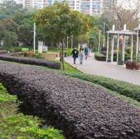 沿海岸線設計之風之塔公園