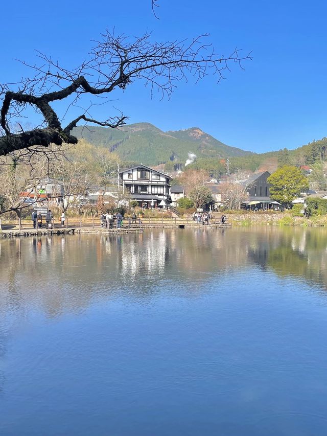 유후인에서 여유롭게 물멍 "긴린코 호수"🌳