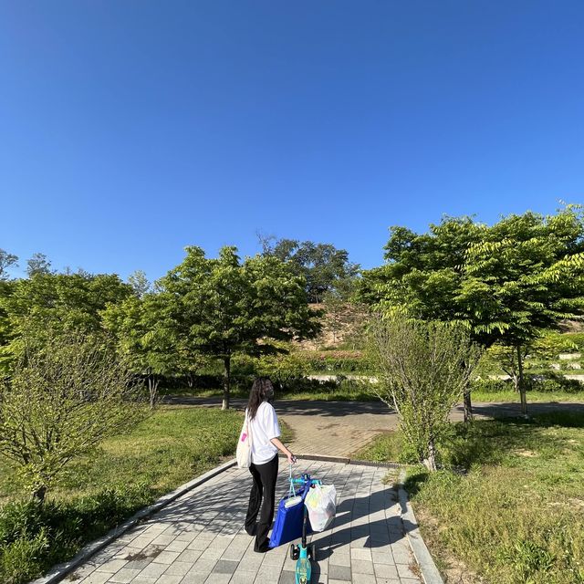 주말 나들이 안산 호수공원