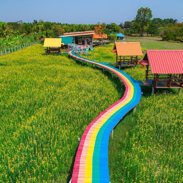 ตายายชมทุ่ง คาเฟ่เชิงเกษตรที่อุบล