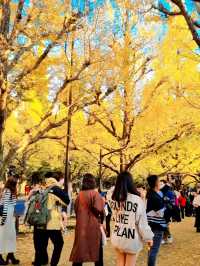 BEEN THERE, DONE THAT, AUTUMN IN JAPAN
