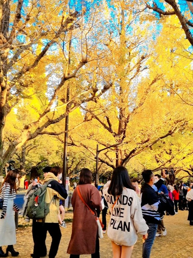 BEEN THERE, DONE THAT, AUTUMN IN JAPAN