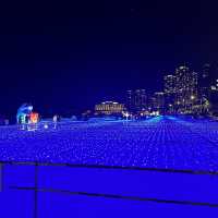 제2의 도시 다이나믹 부산해운대🌊⛱️