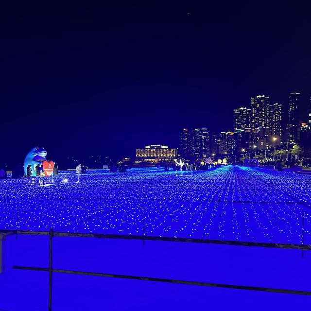 제2의 도시 다이나믹 부산해운대🌊⛱️