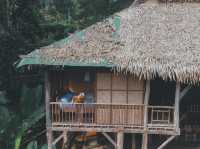 บ้านต้นไม้แม่แมะ Tree House Hideaway