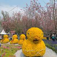 Hong Kong Flower Show 2023