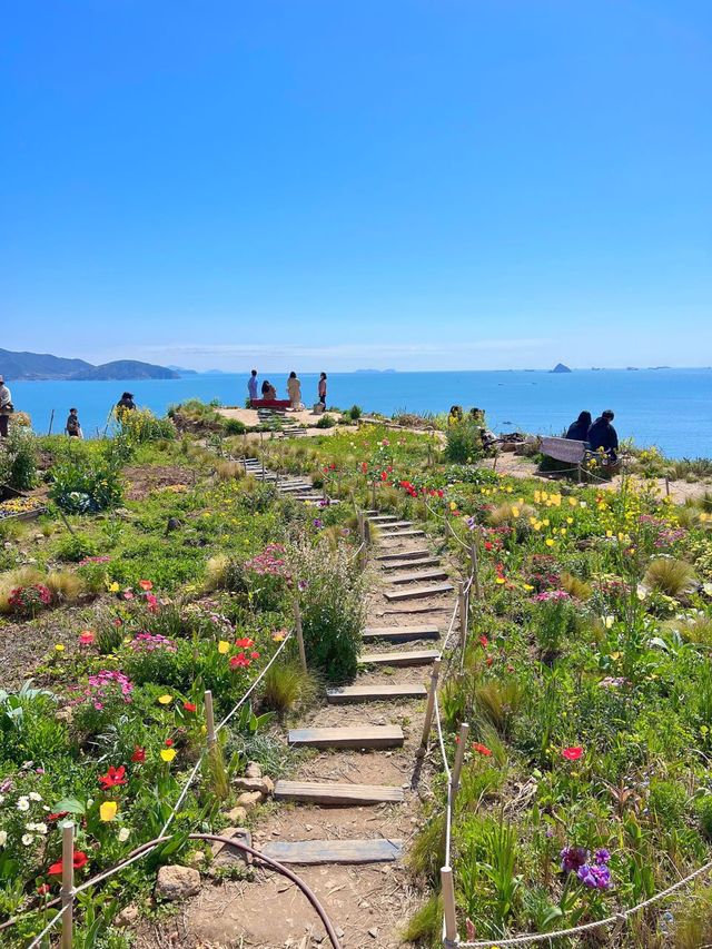 다랭이 마을에 갔으면 들려줘야 하는 카페톨🌾