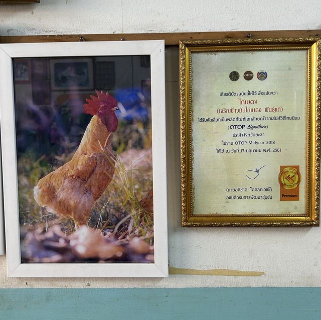 ร้านเจริญข้าวมันไก่เบตงพันธุ์แท้
