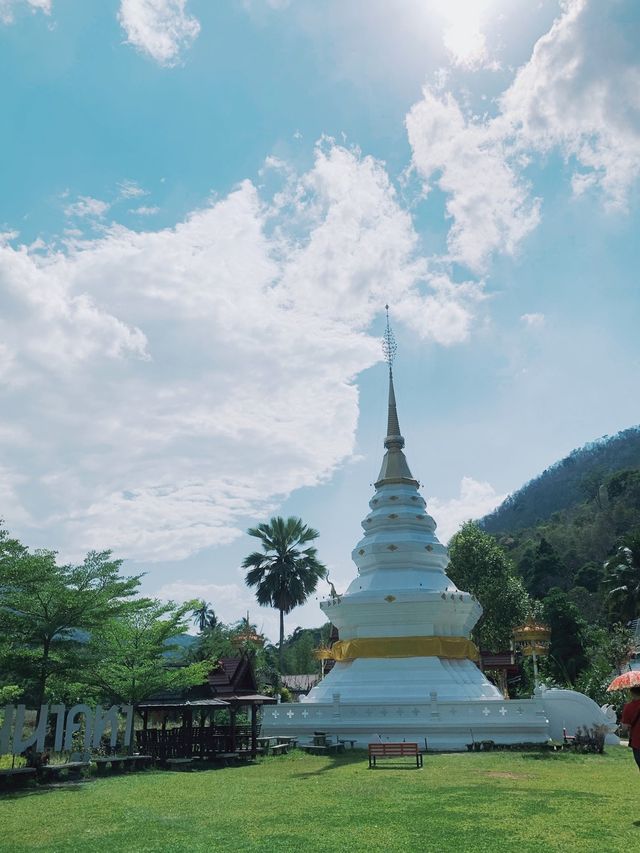 ห้ามพลาด‼️โลเด็ด จังหวัดแพร่ ได้ทั้งบุญทั้งรูป 😱