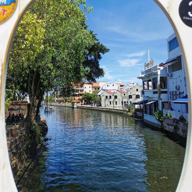 The fascinating river cruise! 🌊🚢