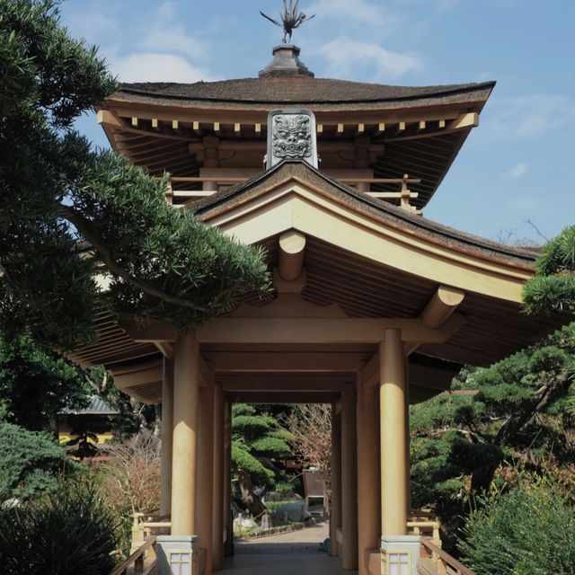  具有香港小京都之稱 - 南蓮園池